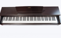 Pianină Digitală Yamaha YDP-145 Arius Rosewood