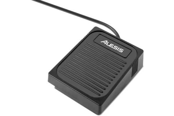 Alesis Concert — 4