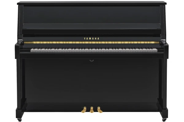 Yamaha B20 PE — 3