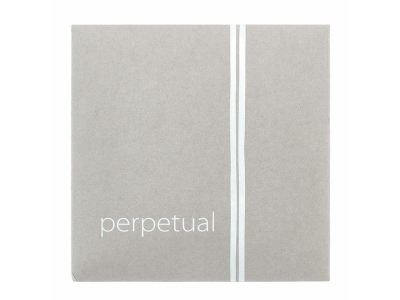 Perpetual A Violin 4/4 steel