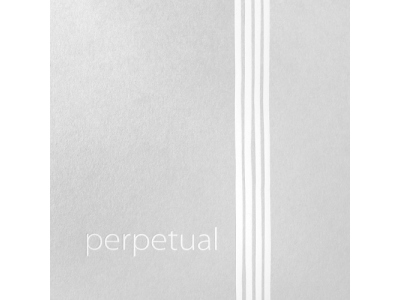 Perpetual Soloist Cello 4/4