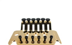 Placă de montaj Floyd Rose Floyd Rose  FROTBPGP - Original Tremolo Base Plate - Gold