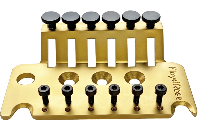 Placă de montaj Floyd Rose Floyd Rose  FROTBPSGP - Original Tremolo Base Plate - Satin Gold