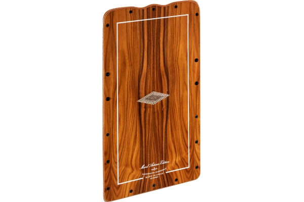 Spare Frontplate for AESELRW (rectangular cut out) Spare Frontplate for AESELRW (rectangular cut out) 