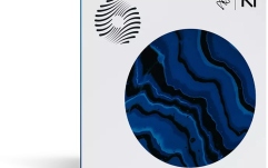 Plugin masterizare iZotope Ozone 12 Elements Mastering Plugin (Download)