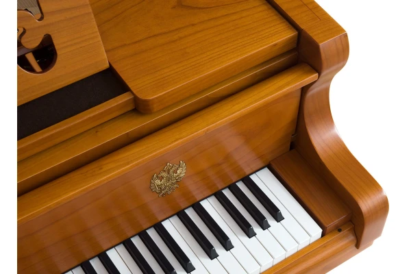 Bösendorfer 225 Strauss Edition — 3