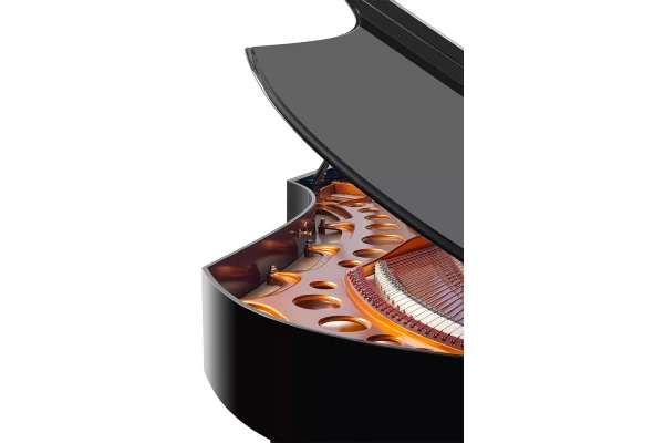 Bösendorfer Concert Grand 290 Imperial — 3