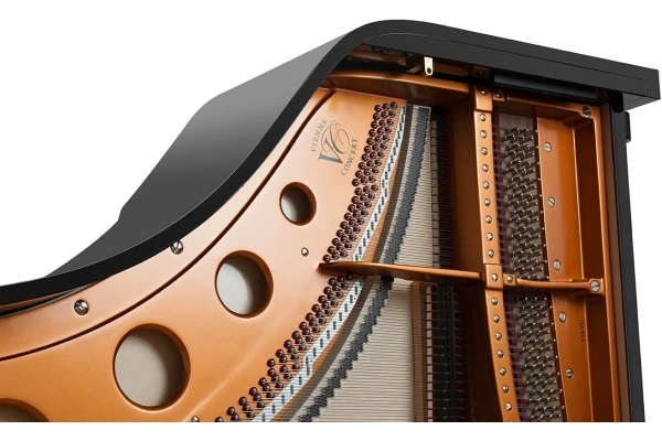 Bösendorfer Grand Piano 214 Vienna Concert — 2