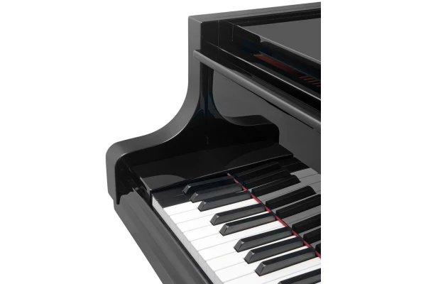 Bösendorfer Grand Piano 225 — 2