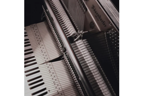 Bösendorfer 120 Silent Edition — 3