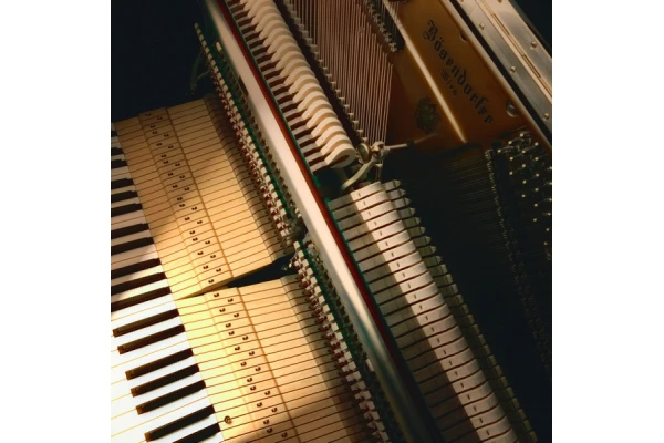 Bösendorfer 130 Silent Edition — 3