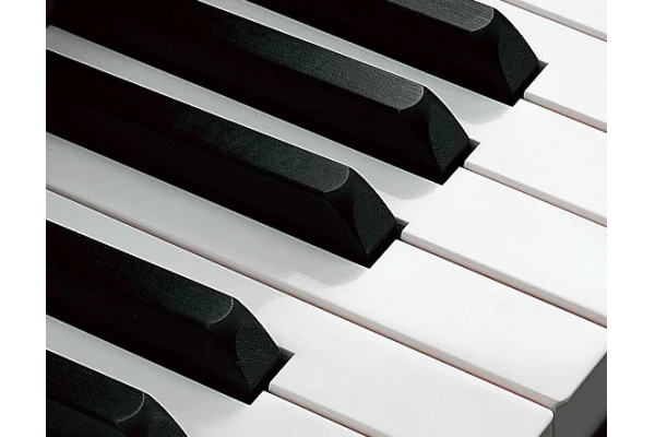 Yamaha YUS5 PE — 3