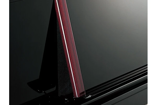Yamaha YUS5 PE — 4