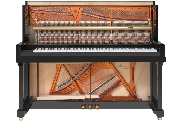Bösendorfer Grand Upright 120 — 2