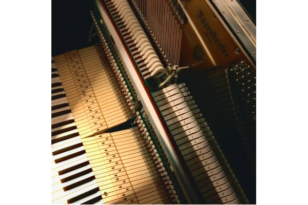 Bösendorfer Grand Upright 130 — 3