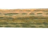 Rainmaker Gewa Rainmaker 100 cm professional