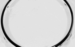 Ramă Conga Meinl SSR rim for Meinl Conga MP1134/FC1134 - 11 3/4" chrome