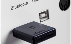 Receiver bluetooth pentru Pian Orla BT-1 Bluetooth Receiver