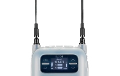 Receptor wireless portabil Shure SLXD-5 G59