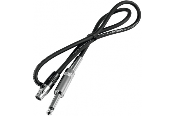 WGC-1 Adapter Cable