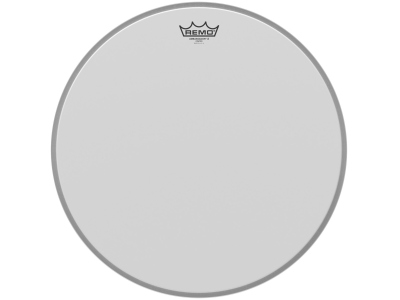 Ambassador X White coated 22