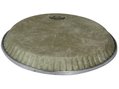  Fiberskyn 3 Symmetry Conga Low Collar 12,50