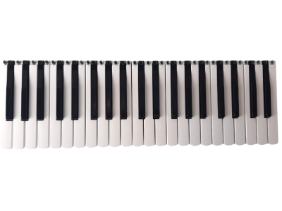 Keyboard Assy 41 Keys FR8X