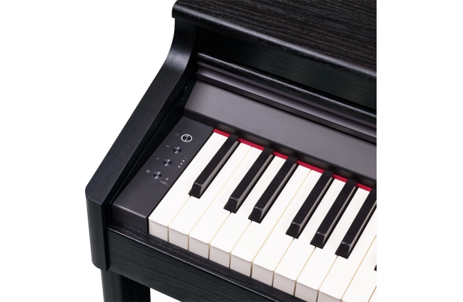 Roland RP-701 CB