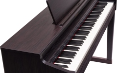 Roland RP-701 DR