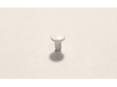 White Convex Bass Button Cap