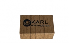 Sacâz vioară / violă Karl Hoffmeister MVRS Sacaz Vioara