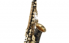 Saxofon Alto in Eb Yamaha YAS-875 EX B