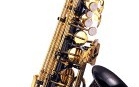Saxofon Alto J.Michael AL-800BL