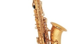 Saxofon alto  Parrot 6430 GL