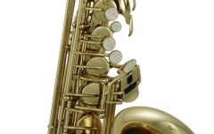 Saxofon Alto Roy Benson AS-302 Eb Alto