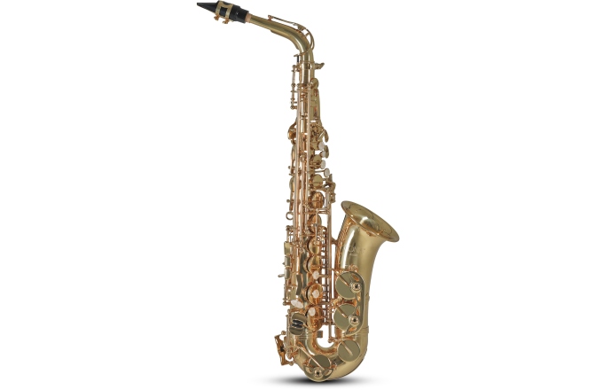 Saxofon Eb-Alt Conn Saxofon Eb-Alt AS501 