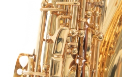 Saxofon Eb-Alt Conn Saxofon Eb-Alt AS501 