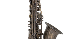 Saxofon Eb-Alt Roy Benson  Eb-Alt Roy Benson AS-202A