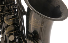 Saxofon Eb-Alt Roy Benson  Eb-Alt Roy Benson AS-202A