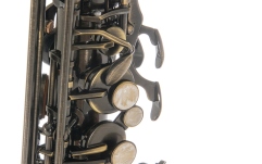 Saxofon Eb-Alt Roy Benson  Eb-Alt Roy Benson AS-202A