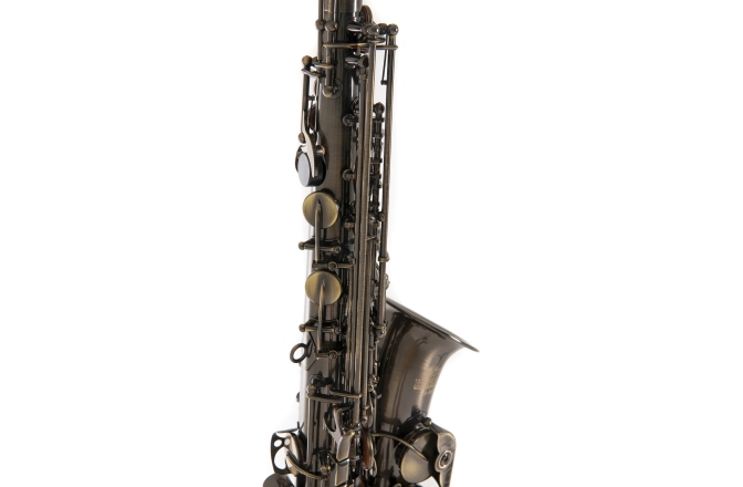 Saxofon Eb-Alt Roy Benson  Eb-Alt Roy Benson AS-202A