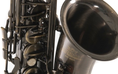 Saxofon Eb-Alt Roy Benson  Eb-Alt Roy Benson AS-202A