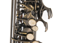 Saxofon Eb-Alt Roy Benson  Eb-Alt Roy Benson AS-202A