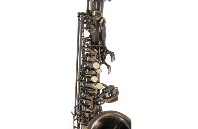 Saxofon Eb-Alt Roy Benson  Eb-Alt Roy Benson AS-202A