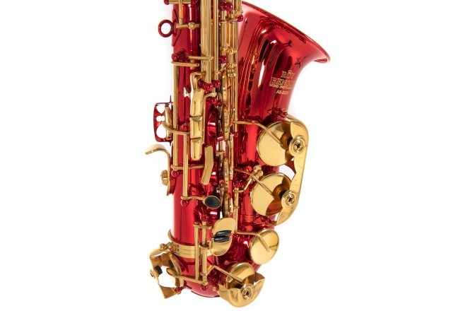 Saxofon Eb-Alt Roy Benson  Roy Benson AS-202R 