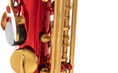 Saxofon Eb-Alt Roy Benson  Roy Benson AS-202R 