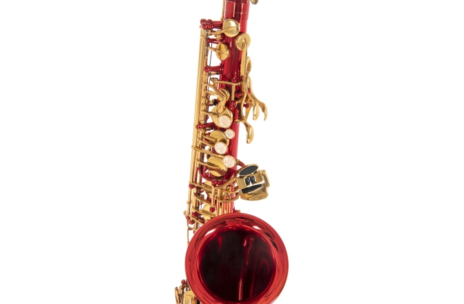 Saxofon Eb-Alt Roy Benson  Roy Benson AS-202R 