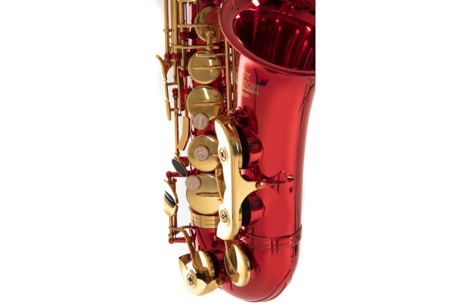 Saxofon Eb-Alt Roy Benson  Roy Benson AS-202R 
