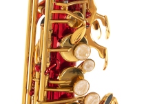 Saxofon Eb-Alt Roy Benson  Roy Benson AS-202R 