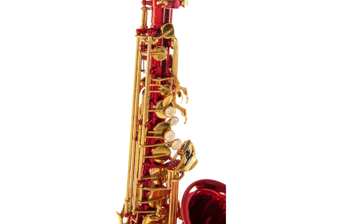 Saxofon Eb-Alt Roy Benson  Roy Benson AS-202R 